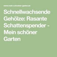 Schnellwachsende Baume Und Straucher Schneller Wachsen Staudenbeet Straucher Pflanzen