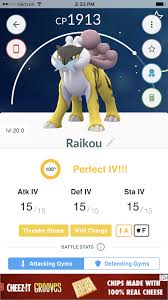 100 Iv Raikou Pokemon Go Pokemon The 100