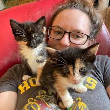 🌶️✨ Hey there & welcome! ✨🌿 My name's Anna Kay, but online you'll find me  under a few different names The Spicy Homesteader, Poxxity, and sometimes  just Anna Kay (why not make