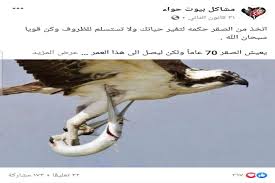 الصقور لا تصل إلى سن السبعين ولا تتخذ هذه القرارات لإطالة حياتها فتبينوا