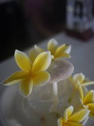 杉板灣民宿種了各種顏色的雞蛋花 雞蛋花為耐旱植物 很適合小琉球炎熱及缺水的環境 image food