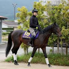 News source: Yahoo!ニュース