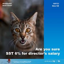 You don't have to pay taxes in malaysia if you have been employed in the country for less than 60 days or for income that is earned from outside malaysia. Director Fee Ktp Company Plt Audit Tax Accountancy In Johor Bahru