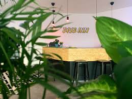 Dive inn cozumel, cozumel, quintana roo, mexico. Dive Inn Die Innovationsagentur Gmbh Home Facebook