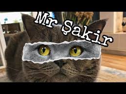Kedimiz Sakir In Korku Dolu Veteriner Gunu Kedim Benimle Konusuyor Kedi Videolari Youtube