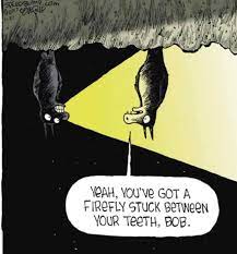 Excel pest control offers both residential and commercial pest control services. 2hmxvgpthkzr2m