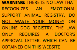 Name of the licensed professional (doctor, therapist, rehabilitation counselor i am very much aware of the voluminous professional literature related to the therapeutic benefits of emotional support animals for individuals with mental. Emotional Support Animal Prescription Letter Flying Housing