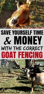 Proper Goat Fencing Time Money Saving Tips Mranimal Farm Pygmy Goat Goat Fence Goats