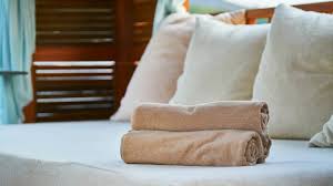 We did not find results for: Everything Airbnb Owners Need To Know About Guest Towels Robemart