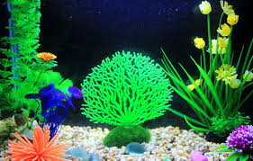 Luis resto, david doman, jared higgins, marshall mathers, alejandro villasana. Seabed Simulation Coral Landscape Fish Tank Ornaments Aquarium Decoration Fish Tank Simulated Coral Alexnld Com