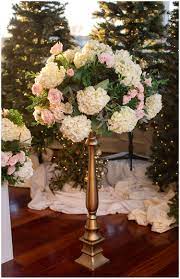 Button Funray Flower Farm Best Flower Wallpaper