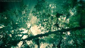 Check spelling or type a new query. Aesthetic Nature Gif Largest Wallpaper Portal