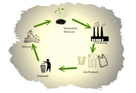 Energy auditing and green consulting work with businesses or individuals to help them implement strategies to. Green Technology Online Business Ideas Sell These Green Products Online Woahtech
