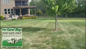 The yard boy, franklin, tennessee. The Yard Boy Videos Facebook