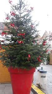 Maybe you would like to learn more about one of these? Grand Pot Pour Sapin De Noel Red Peppercorn Red Deco