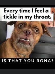 Is That You Rona Tired Quotes Funny Funny Humor