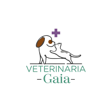 VETERINARIA GAIA
