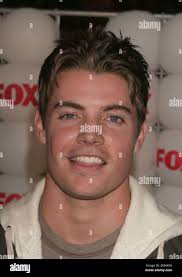 Fox henderson hi-res stock photography and images