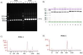 Test, test, test—that is the credo at the moment, and it is the only way to really understand how much the coronavirus is spreading. this indicates that the belief in the validity of the pcr tests is so strong. Microbiota Analysis Using Two Step Pcr And Next Generation 16s Rrna Gene Sequencing Protocol Translated To Arabic