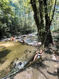 Sungai tua location primary destinations … Clean River Picture Of Sungai Tua Recreational Forest Selangor Tripadvisor