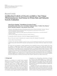 Image result for Dissotis multiflora