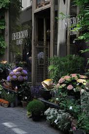 Urs Bergmann Florist Elephanten Apotheke Flower Shop Design Flower Shop Plants
