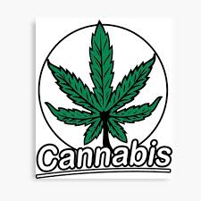 Weed or marijuana) for medicinal use, with 15 states, two territories, and the district of columbia moving to legislate the. Smoking Weed Canvas Prints Redbubble