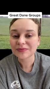 Brown and Tan and Black Spotted Great Dane