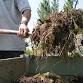 Introduction to Composting event image