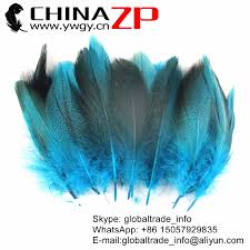 Ltd in china @aliyun.com mail. Chinazp Factory Directly Wholesale 50pieces Lot High Quality Dyed Turquoise Mallard Duck Flank Fluffy Plumage Feathers Feather Wholesalers Wholesale Feathermallard Duck Aliexpress