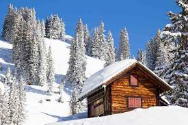 Yes, you can build this rustic cabin, which packs 400 square feet of living space, for less than $2,000.while it may seem like a distant dream, having a tiny home like this one isn't out of the question, both financially and physically. Alaska Homestead Living In A Cabin Up North Nature And Environment Mother Earth News