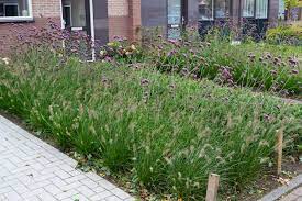 tuindecoratie tuininspiratie tuintips tuinontwerp tuinen tuinieren tuin tuin ideeen tuintips