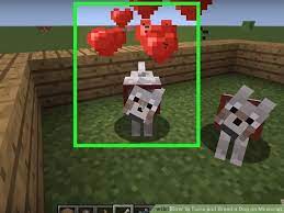 How To Tame And Breed A Dog On Minecraft Minecraft Dog House Minecraft Dogs Dog Cat