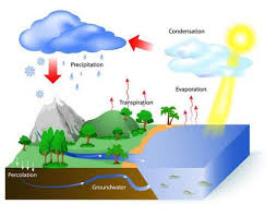 Penguapan atau evaporasi adalah proses perubahan molekul di dalam keadaan cair (contohnya air) dengan spontan menjadi gas (contohnya uap air). Siklus Air Pengertian Urutan Proses Siklus Hidrologi Dan Gambarnya