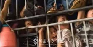 社說]-2 연간 사라진 아이들 800만여 명...이들은 어디로 갔나?(○19금) 인신제사. 피자 게이트. 0버거. 아드레노크롬 등등 <  칼럼 < 오피니언 < 기사본문 - 서울시정일보