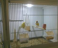 Bird Aviary Near Me Bird Cage Led Daylight Simulation System Bird House Kits Bird Aviary Aviary