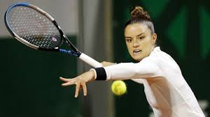 Видео αδωνισ γεωργιαδησ για συριζα канала enikos 2012. Tenis Kyriarxhse H Sakkarh Sthn Premiera Ths Sth Stoytgkardh