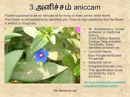 A state flag proposed in 1970 by the government of tamil nadu was not officially adopted. 99 Tamil Flowers Kurunji Paatu Flowers 1 10 à®•à®± à®• à®¨ à®± à®•