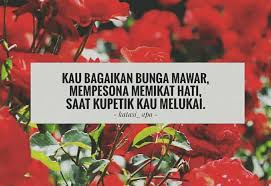 Check spelling or type a new query. Kata Kata Lucu Tentang Bunga Mawar