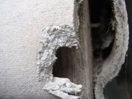 Sometimes asbestos ceiling tiles are hidden from plain view above a suspended ceiling. Identifying Asbestos Ceilings And Understanding Health Risks Architecture Design