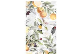 Image result for Citropsis