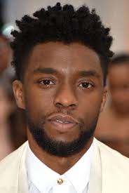 Black Panther Actors And Actresses Pin By Ananda Augusta Caesaria On Favorite Actors And Actresses Chadwick Boseman African American Actors Black Panther Marvel