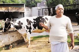 Image result for लालू यादव का इतिहास