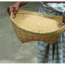 Decor open weave cane webbing from naturtrend shop with online shopping. Pdf Efficacy Of Management And Monitoring Methods To Prevent Post Harvest Losses Caused By Rodents