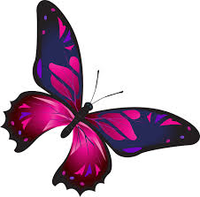 pin on artistic photos