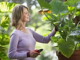 Gardens can also provide places for family gatherings and harvesting vegetables, which are trending right now. 7 Gardening Trends For 2020 Dig This Design