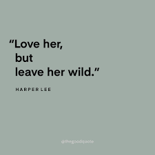 Positive Motivational Quotes On Instagram Harper Lee Thegoodquote Positive Quotes Motivation Harper Lee Quotes Motivational Quotes