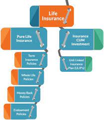 Policy cost goes up once the level premium convertible option. Secure Your Family With The Help Of Life Insurance By Lifeinsurance123 On Deviantart