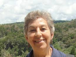 Catálogo profesorado