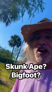 What would YOU call it? REAL SIGHTING. Y’know how those dumb videos say  “Watch till the end?” Well, WATCH TILL THE END!! #bigfoot #cryptozoology  #bartt